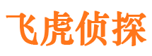 光山调查取证